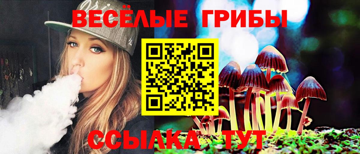 Тара  Псилоцибиновые грибы MAGIC MUSHROOMS  наркотики  Вход с VPN 